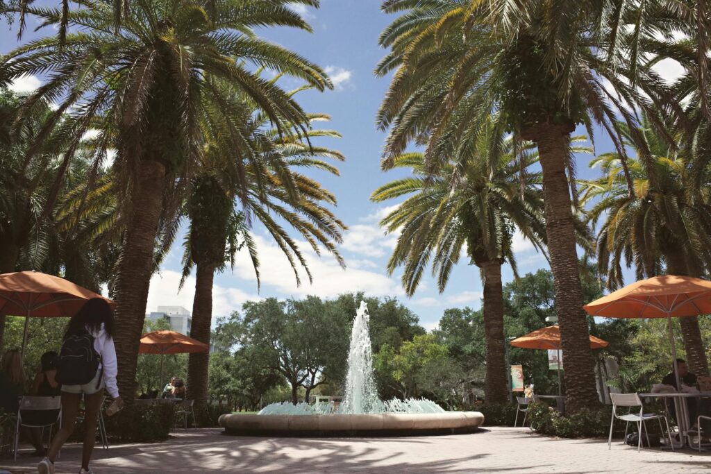 Law Schools in Florida - University of Miami School of Law - Floridalists.com