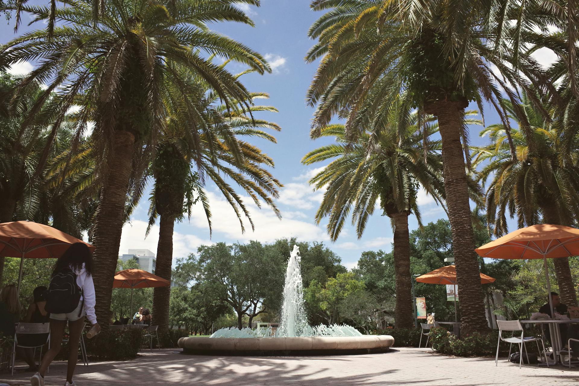 List of Florida Law Schools 1 Law Schools in Florida - University of Miami School of Law - Floridalists.com