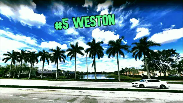Best Places in Florida for Latinos: Top 10 Towns and Suburbs to Consider 9 Suburban streets and palm trees in Weston