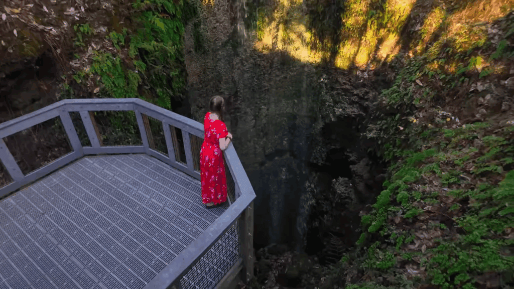 7a4b8578 f038 4ee7 98eb b45345d31ada 10 BEST State Parks in Florida (Beaches, History, Springs & Hidden Gems!)