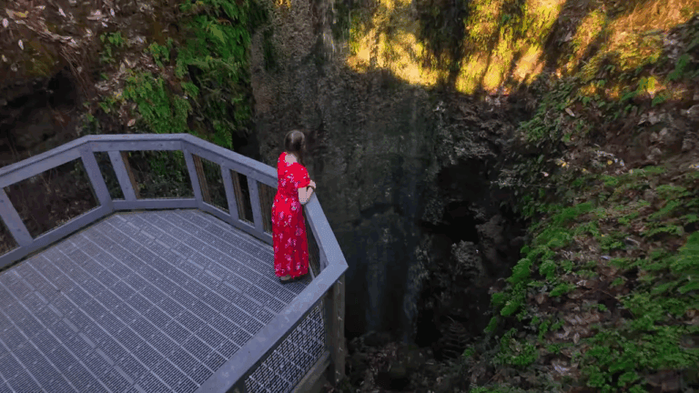 10 BEST State Parks in Florida (Beaches, History, Springs & Hidden Gems!)