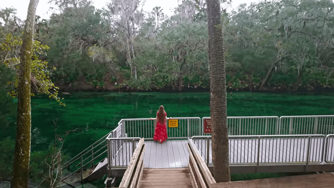 10 BEST State Parks in Florida (Beaches, History, Springs & Hidden Gems!) 12 Manatees in the warm spring water at Blue Spring State Park