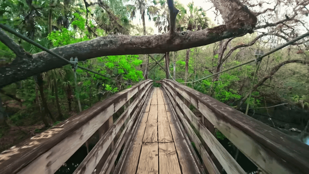 10 BEST State Parks in Florida (Beaches, History, Springs & Hidden Gems!) 8 Footbridge and wild river vistas at Hillsborough River State Park