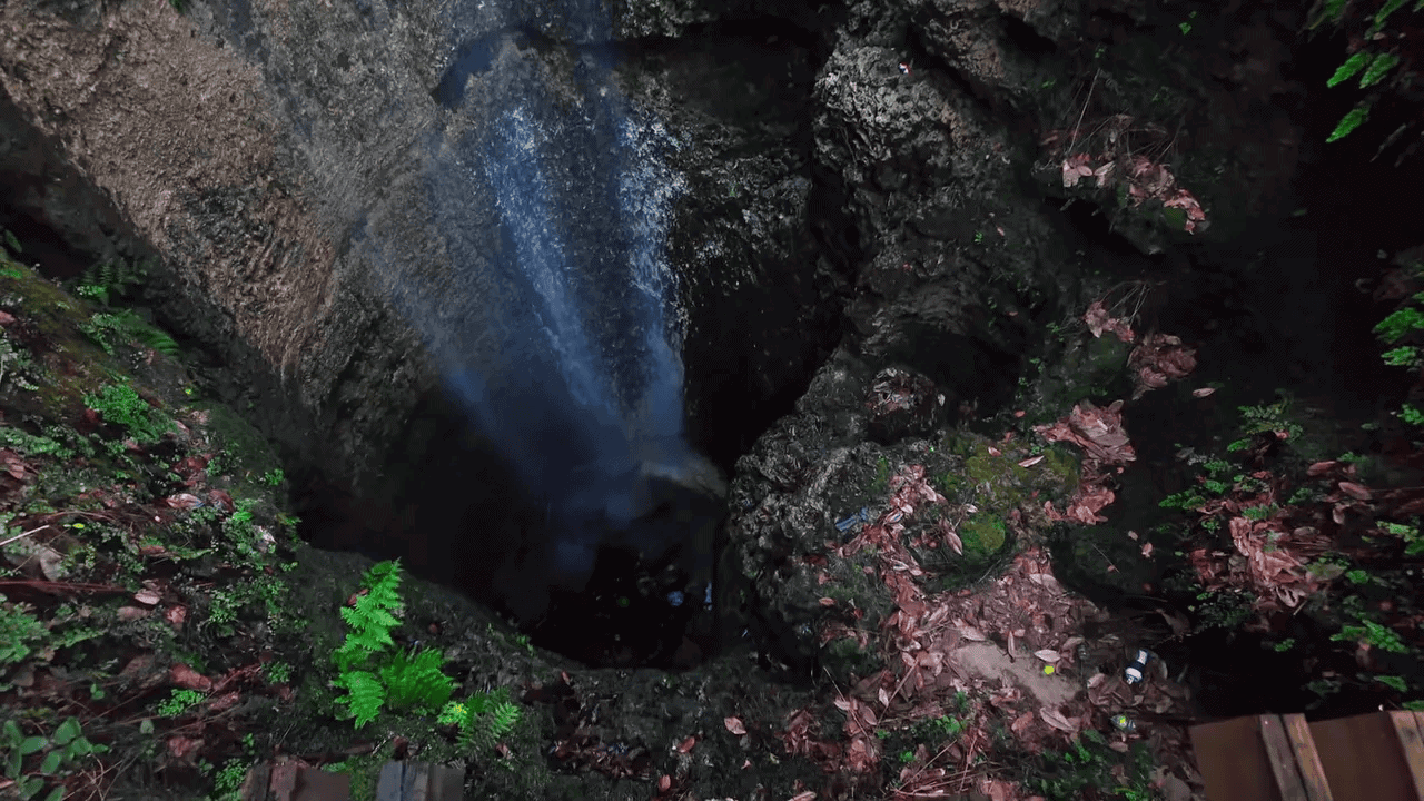 10 BEST State Parks in Florida (Beaches, History, Springs & Hidden Gems!) 3 Water tumbling down the 73-foot sinkhole at Falling Waters