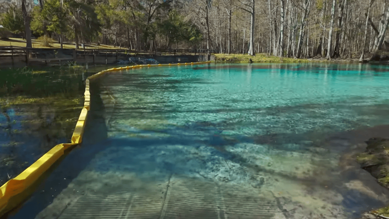 10 BEST State Parks in Florida (Beaches, History, Springs & Hidden Gems!) 13 Family enjoying the sandy shallow entry at a Florida spring