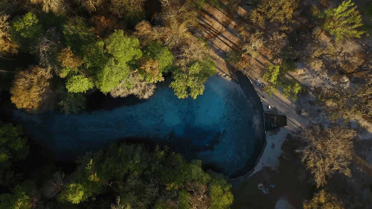 10 BEST State Parks in Florida (Beaches, History, Springs & Hidden Gems!) 6 Shallow sandy spring shoreline at Gilchrist Blue Springs